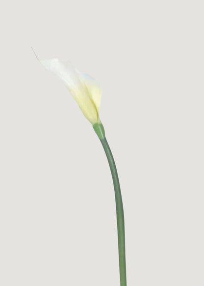 Case of 12 Artificial Calla Lily Stems in Cream 37"