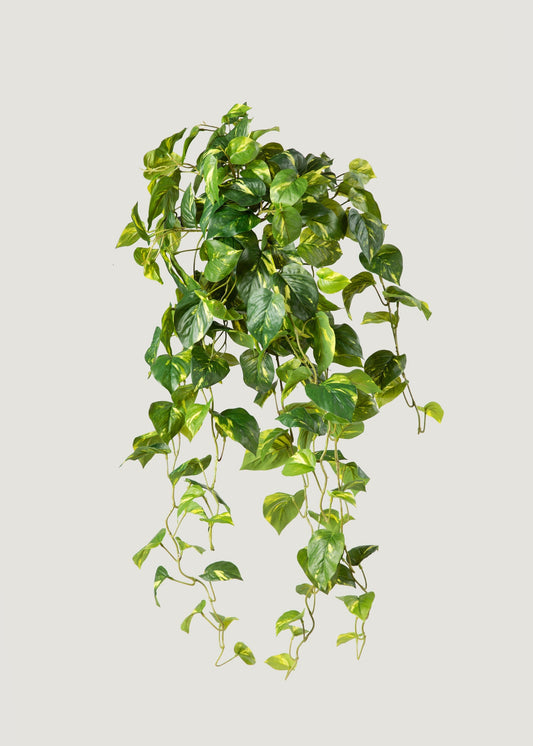 Deluxe Real Touch Pothos Fake Hanging Plant - 36"