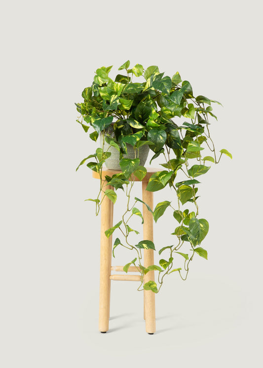 Deluxe Real Touch Pothos Fake Hanging Plant - 36"