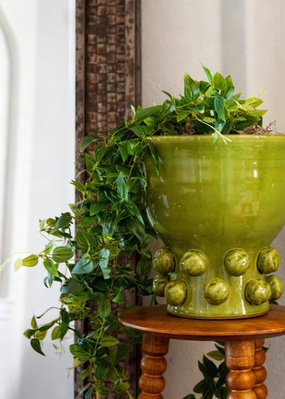 Hanging Deluxe Tradescantia with Green Hobnail Houseplant Design
