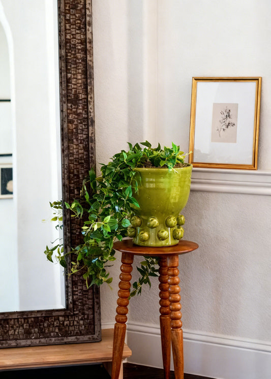 Hanging Deluxe Tradescantia with Green Hobnail Houseplant Design